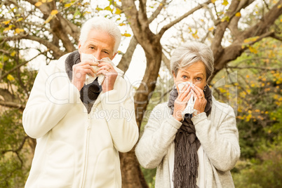 Senior couple in the park Senior couple in the park
