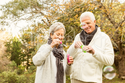 Senior couple in the park