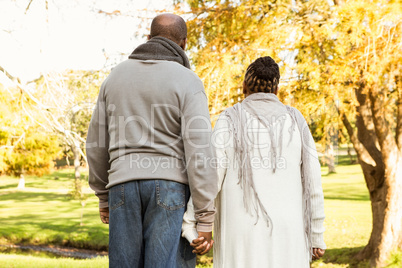 Rear view of senior peaceful couple