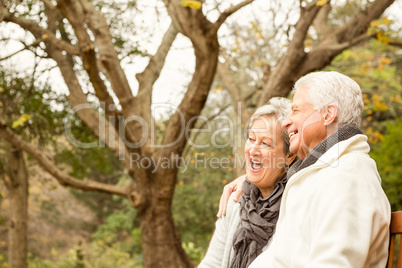 Senior couple in the park