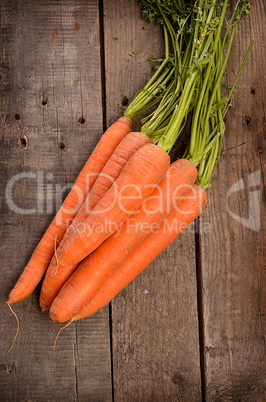 Fresh organic carrots