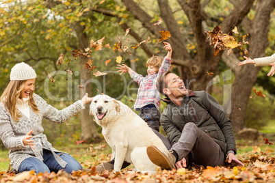 Young family with a dog in leaves