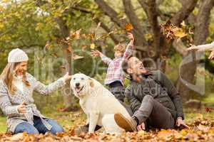 Young family with a dog in leaves