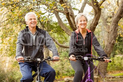 Senior couple in the park Senior couple in the park