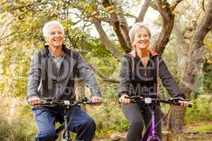 Senior couple in the park