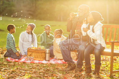 Happy family having a picnic