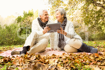 Senior couple in the park