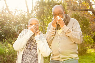 Senior couple blowing their nose
