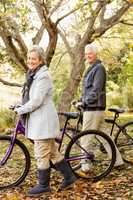 Senior couple in the park