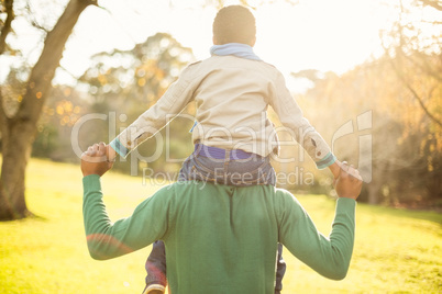 Rear view of a father with his son in piggyback