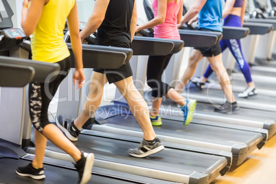 Fit people walking on treadmills