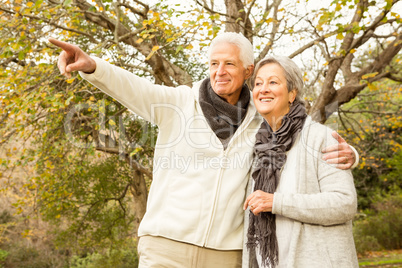 Senior couple in the park