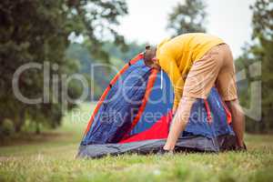 Handsome hipster pitching his tent