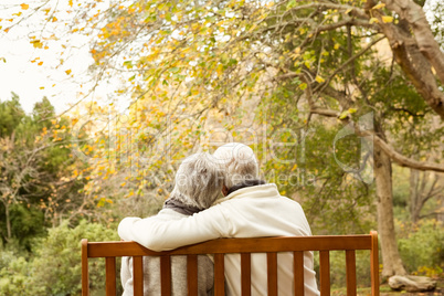 Senior couple in the park