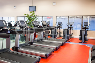 Row of treadmills and exercise bikes