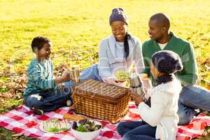 Young smiling family doing a picnic