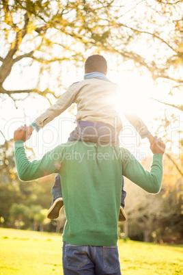 Rear view of a father with his son in piggyback