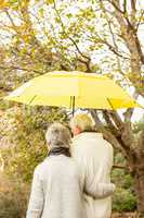 Senior couple in the park