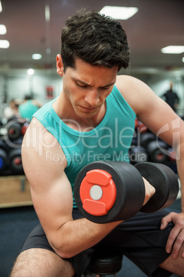 Man lifting dumbbell weight while sitting