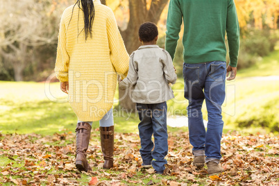 Rear view of a young family