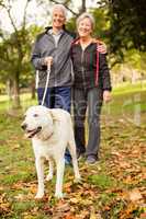 Senior couple in the park with dog