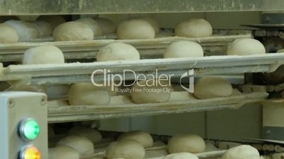 german bakery roll bun on conveyor belt elevator 11668
