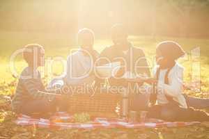 Young smiling family doing a picnic