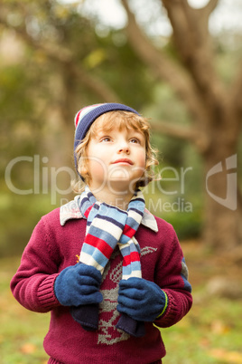 Smiling little boy posing for camera