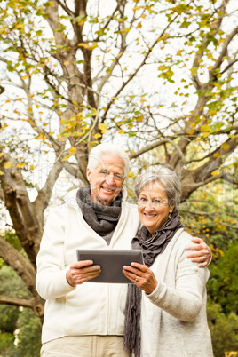 Senior couple in the park