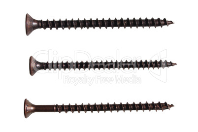 Wood screw isolated