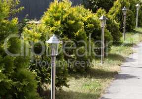 lamp on green grass background