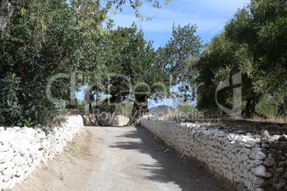 Weg auf Kreta