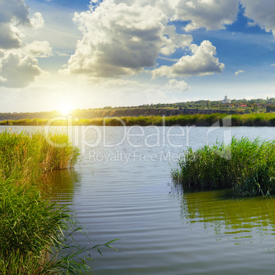 thickets of reeds on the lake and sun