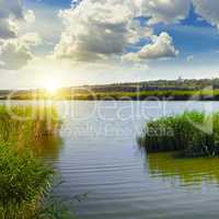 thickets of reeds on the lake and sun