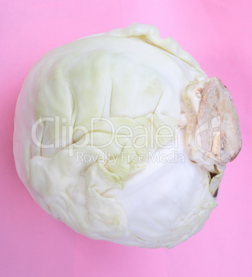 Head of White Cabbage on Pink Background