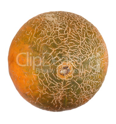 Melon Isolated