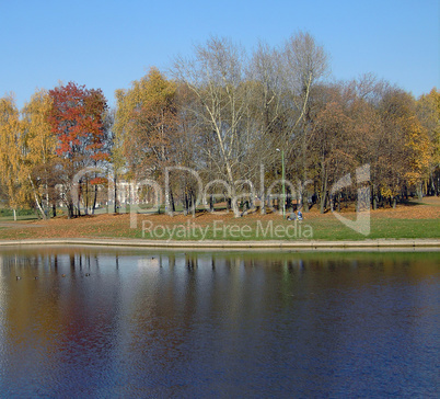 park in gold fall