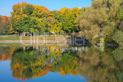 park in gold fall