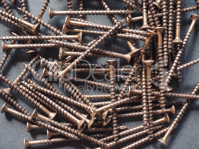 Wood screw