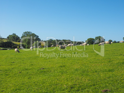 View of Tanworth in Arden