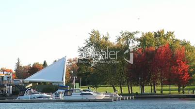 Moored yachts, waterfront and red trees