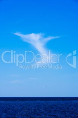 Angelic cloud ascending into blue sky from lake