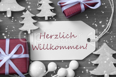 Christmas Label Gift Snowflakes Herzlich Willkommen Mean Welcome