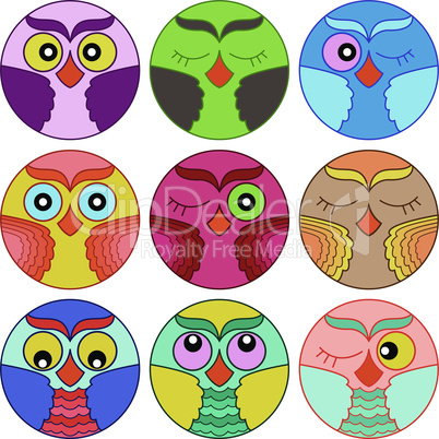Nine cute owl faces in circle shape