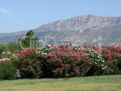 Küstengebirge in Split Kroatien