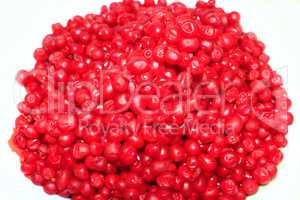 heap of red and ripe berries of schisandra isolated