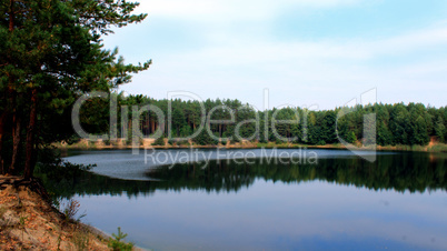 lake in the forest