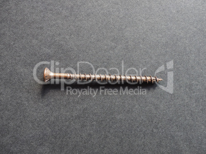 Wood screw