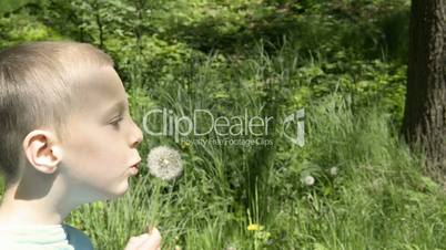 Boy blowing dandelion seeds