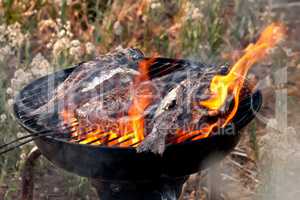 Sea Bream Fish Grilling On BBQ